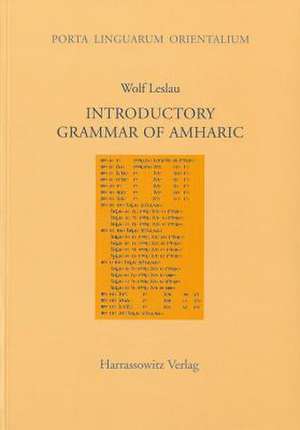 Introductory Grammar of Amharic