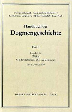 Handbuch der Dogmengeschichte II/1c de Franz Courth