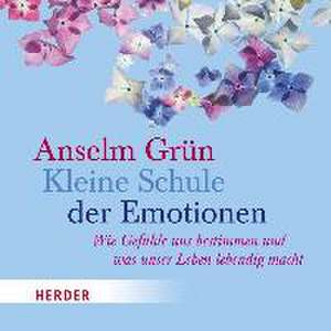 Kleine Schule der Emotionen de Anselm Grün