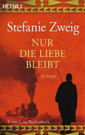 Nur die Liebe bleibt de Stefanie Zweig