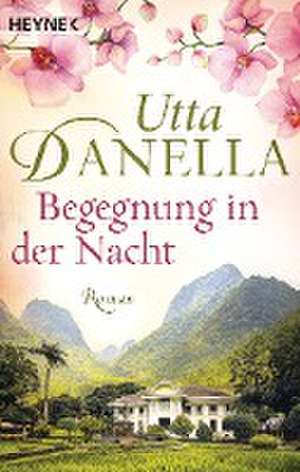 Begegnung in der Nacht de Utta Danella