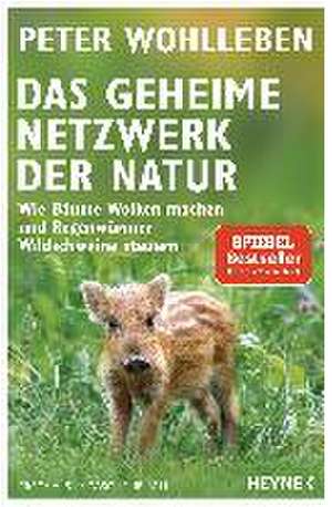 Das geheime Netzwerk der Natur de Peter Wohlleben