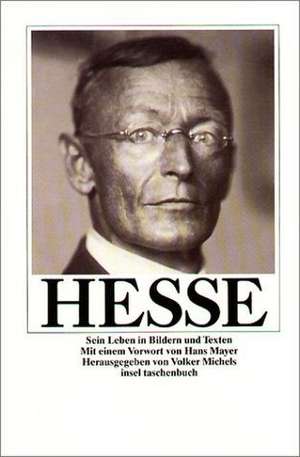 Hesse. Sein Leben in Bildern und Texten de Volker Michels