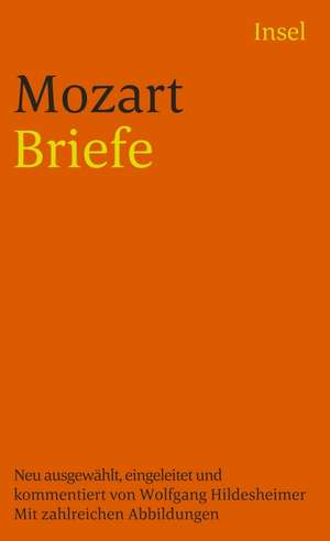 Briefe de Wolfgang Hildesheimer