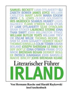 Literarischer Führer Irland de Hermann Rasche