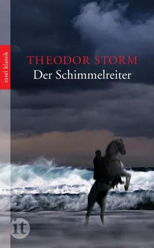 Der Schimmelreiter de Theodor Storm