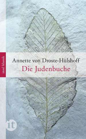 Die Judenbuche de Annette von Droste-Hülshoff