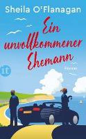 Ein unvollkommener Ehemann de Sheila O'Flanagan