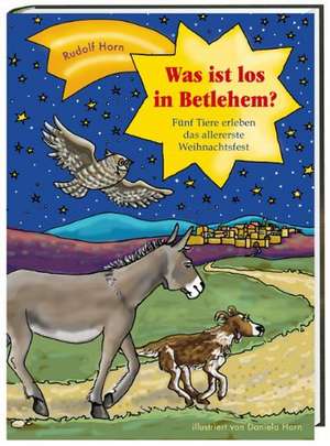 Was ist los in Betlehem? de Rudolf Horn