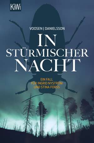 In stürmischer Nacht de Roman Voosen