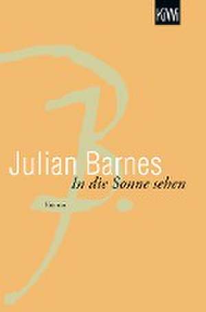 In die Sonne sehen de Julian Barnes