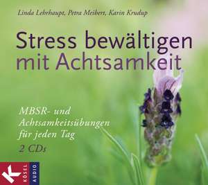 Stress bewältigen mit Achtsamkeit de Linda Lehrhaupt