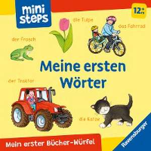 ministeps: Mein erster Bücher-Würfel: Meine ersten Wörter (Bücher-Set) de Ina Milk