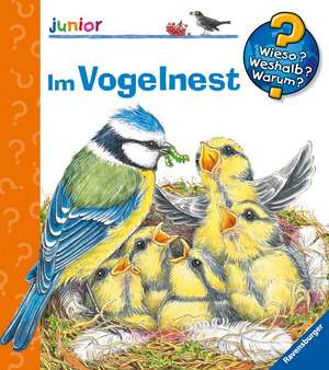 Im Vogelnest de Andrea Erne