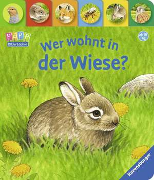 Wer wohnt in der Wiese? de Susanne Gernhäuser