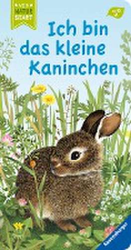 Ich bin das kleine Kaninchen de Gerlinde Wiencirz