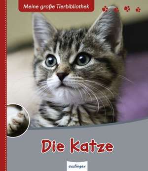 Meine große Tierbibliothek: Die Katze de Stephane Frattini