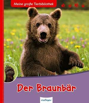 Der Braunbär de Valérie Tracqui