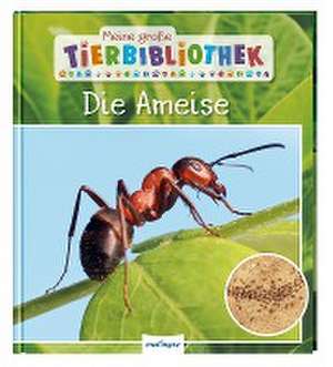 Meine große Tierbibliothek: Die Ameise de Axel Gutjahr