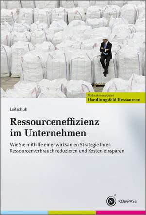 Ressourceneffizienz im Unternehmen de Heike Leitschuh