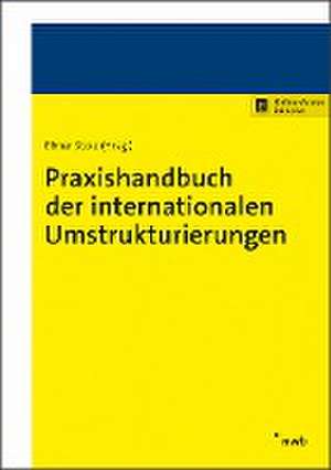 Praxishandbuch der internationalen Umstrukturierungen de RSM Ebner Stolz