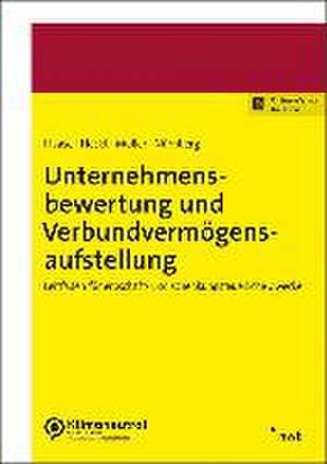 Unternehmensbewertung und Verbundvermögensaufstellung de Florian Haase