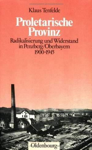 Proletarische Provinz de Klaus Tenfelde