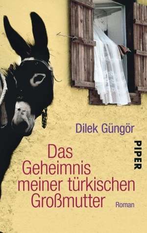 Das Geheimnis meiner türkischen Großmutter de Dilek Güngör