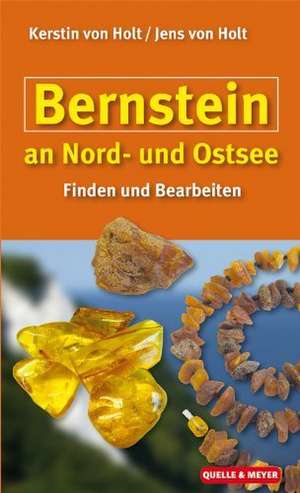 Bernstein an Nord- und Ostsee de Kerstin von Holt