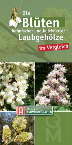 Die Blüten heimischer und kultivierter Laubgehölze im Vergleich