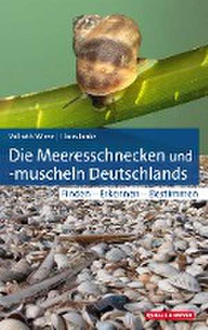 Die Meeresschnecken und -muscheln Deutschlands de Vollrath Wiese