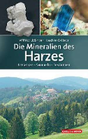 Die Mineralien des Harzes de Wilfried Ließmann