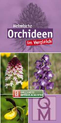 Heimische Orchideen de Quelle & Meyer Verlag