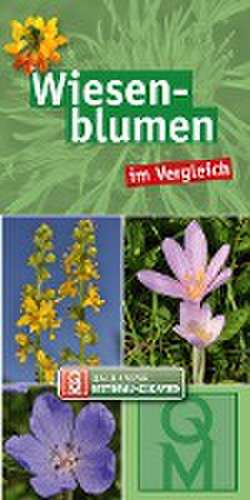 Wiesenblumen im Vergleich - 10er-Set de Quelle & Meyer Verlag