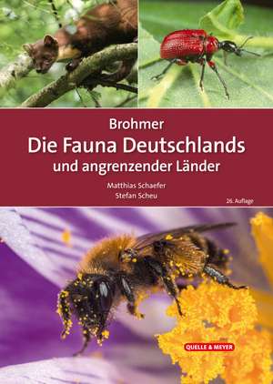 Brohmer - Die Fauna Deutschlands und angrenzender Länder de Matthias Schaefer