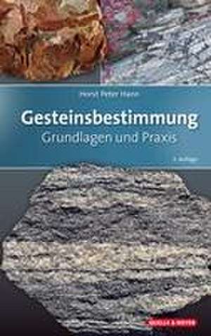 Gesteinsbestimmung de Horst Peter Hann