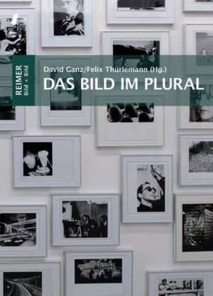 Das Bild im Plural de David Ganz