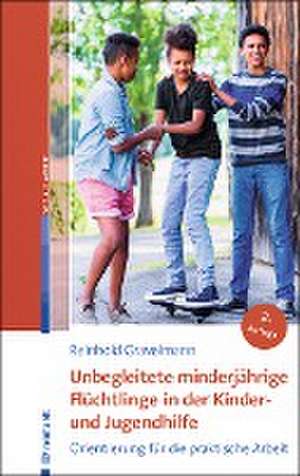 Unbegleitete minderjährige Flüchtlinge in der Kinder- und Jugendhilfe de Reinhold Gravelmann