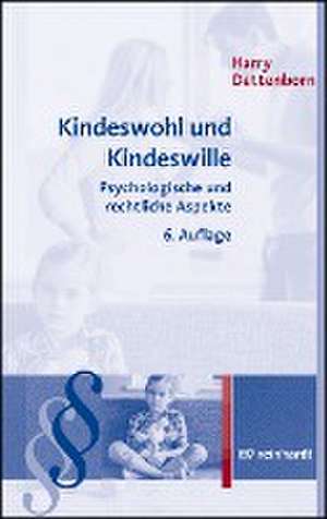 Kindeswohl und Kindeswille de Harry Dettenborn