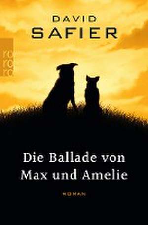 Die Ballade von Max und Amelie de David Safier