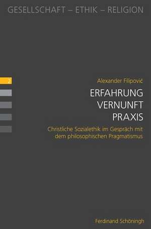 Erfahrung - Vernunft - Praxis de Alexander Filipovic