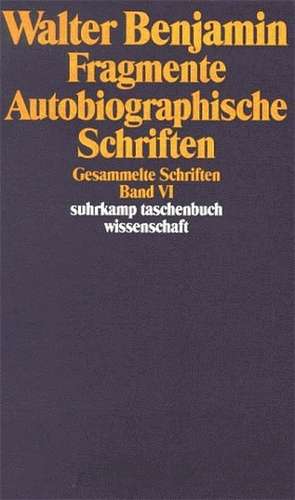 Gesammelte Schriften VI. Fragmente. Autobiographische Schriften de Rolf Tiedemann