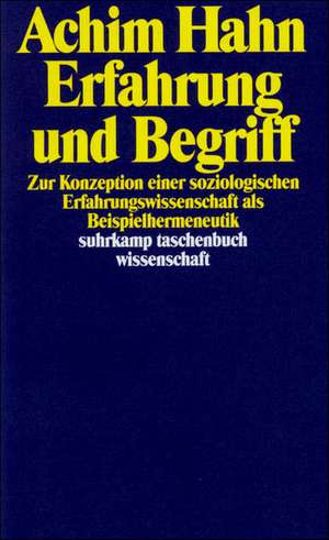 Erfahrung und Begriff de Achim Hahn