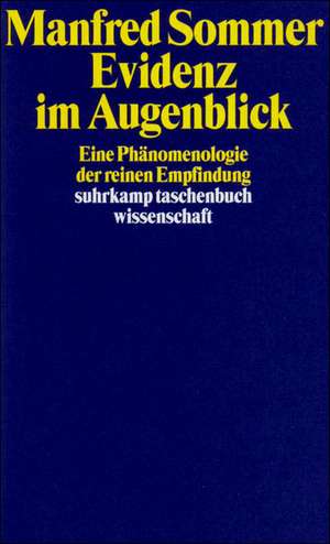 Evidenz im Augenblick de Manfred Sommer