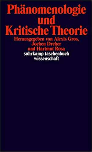 Phänomenologie und Kritische Theorie de Alexis Gros