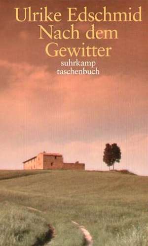 Nach dem Gewitter de Ulrike Edschmid