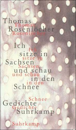 Ich sitze in Sachsen und schau in den Schnee de Thomas Rosenlöcher