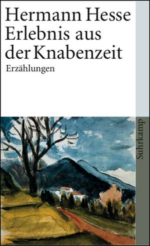 Erlebnis in der Knabenzeit de Hermann Hesse