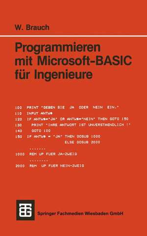 Programmieren mit Microsoft-BASIC für Ingenieure de Wolfgang Brauch