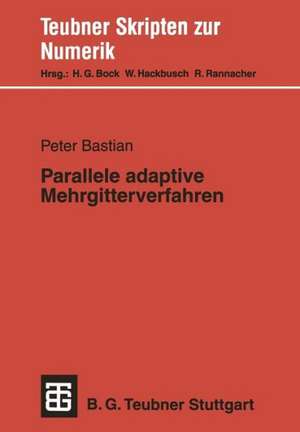 Parallele adaptive Mehrgitterverfahren de Peter Bastian